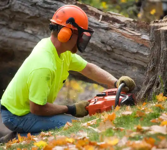 tree services Desloge